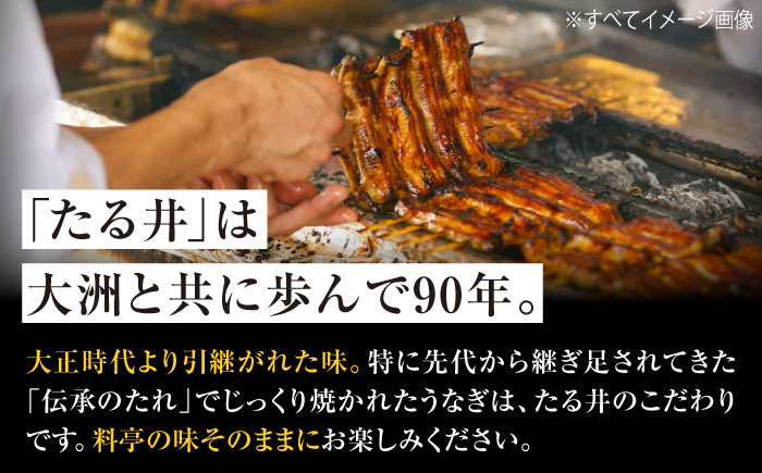 【全6回定期便】 うなぎ 蒲焼き 冷蔵 真空パック 8尾（2尾×4箱）愛媛県大洲市/有限会社 樽井旅館 鰻 うなぎ ひつまぶし 土用の丑の日 ウナギ [AGAH024]