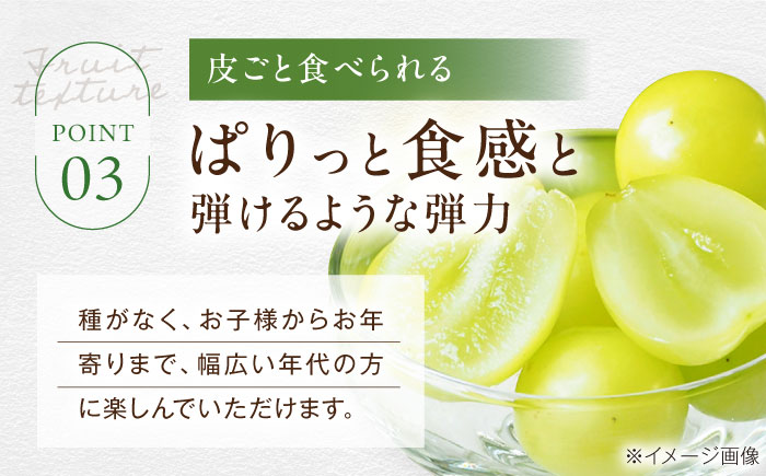 【先行予約】【2026年9月中旬より順次発送】 訳あり シャインマスカット 約2kg（3～5房）シャインマスカット ブドウ 葡萄 果物 フルーツ 愛媛県大洲市/沢井青果有限会社 訳アリ ワケあり わけあり 不揃い [AGBN056]