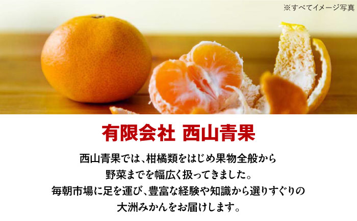 いちご・甘平 春を呼ぶ♪定期便【先行予約】【全2回定期便】 いちご(紅ほっぺ)24粒・甘平2.5kg(Lから4Lサイズ混合) | 先行予約 フルーツ定期便 果物定期便 みかん ミカン かんぺい 甘平 いちご 苺 果物 くだもの フルーツ 愛媛県産 大洲市産 産地直送 おすすめ 人気 お取り寄せ 送料無料 愛媛県大洲市/有限会社西山青果 [AGAR020]