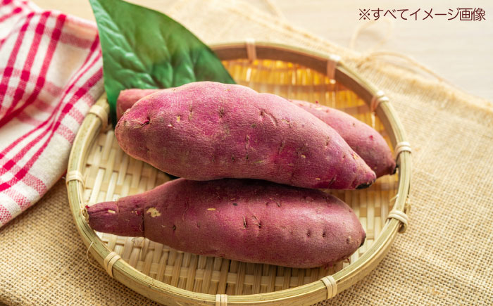 さつまいも（紅はるか）10kg 愛媛県大洲市/たいき産直市愛たい菜 [AGAP021]