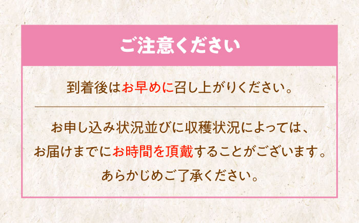 【先行予約】【7月中旬から順次発送】桃果樹園からの恵み！あまい香りとあふれる果汁！厳選の桃9〜13玉入り 愛媛県大洲市/幸野観光なし園［AGBD006］