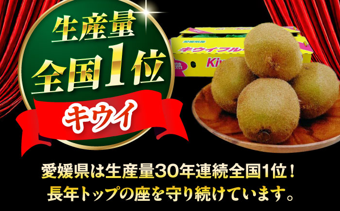 【先行予約】【2025年1月中旬から順次発送】グリーンキウイ 24玉〜27玉入　愛媛県大洲市/株式会社フジ・アグリフーズ [AGBA009] キウイ きうい キューイ kiwi ヘイワードお正月 クリスマス