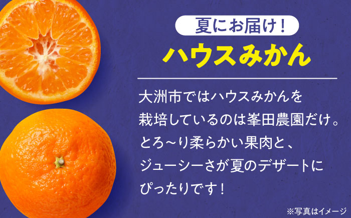 愛媛県産 プレミアム柑橘5kgセット（ハウスみかん2kg、まどんな3kg）　愛媛県大洲市/峯田農園 [AGBT012]みかん オレンジ フルーツ ミカン 果物 かき氷 みかんジュース 愛媛みかん こたつ みきゃん スムージー デザート おやつ ヨーグルト 調味料 ドレッシング 隠し味 料理