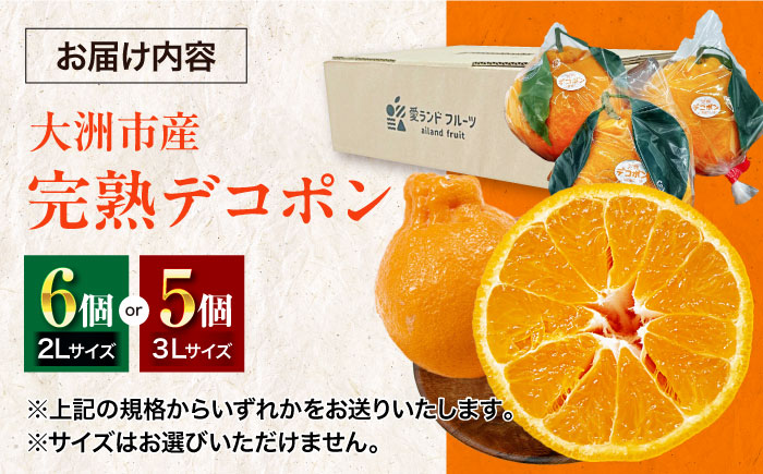 【先行予約】【3月下旬から順次発送】樹の上で熟成！愛媛県大洲市産「完熟デコポン」5〜6個　愛媛県大洲市/株式会社フジ・アグリフーズ [AGBA008] みかん 愛媛みかん 柑橘 果物 フルーツ