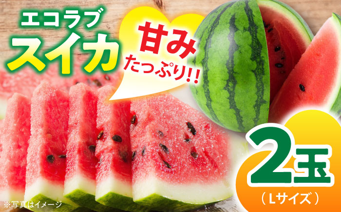 [先行予約][6月上旬から順次配送]愛情つまったエコラブスイカ(Lサイズ)2玉 愛媛県大洲市/沢井青果有限会社 [AGBN010]スイカ 夏 すいか 西瓜 かき氷 スイカジュース 甘い フルーツ 果物 フルーツポンチ デザート