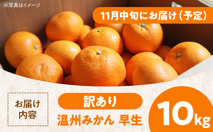 【全2回定期便】【11月中旬と12月中旬の2回発送】【ちょっと訳あり】温州みかん 10kg 2回 定期便  愛媛県大洲市/有限会社カーム/カームシトラス 温州みかん みかん 柑橘 愛媛みかん [AGBW008]