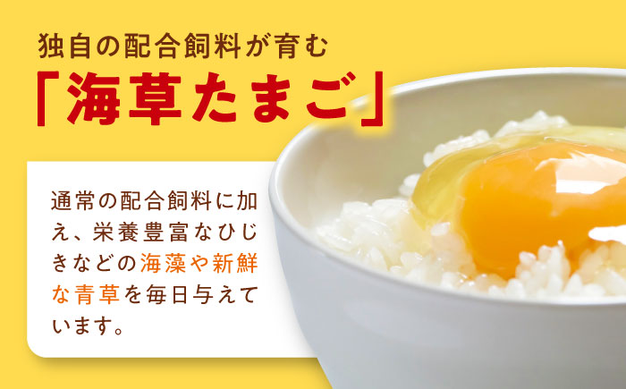 【全6回定期便】平飼い 海草たまご 10パック（100個入り）割れ保証あり 愛媛県大洲市/和田養鶏場 卵 たまご 鶏卵 卵料理 玉子 [AGDQ015]