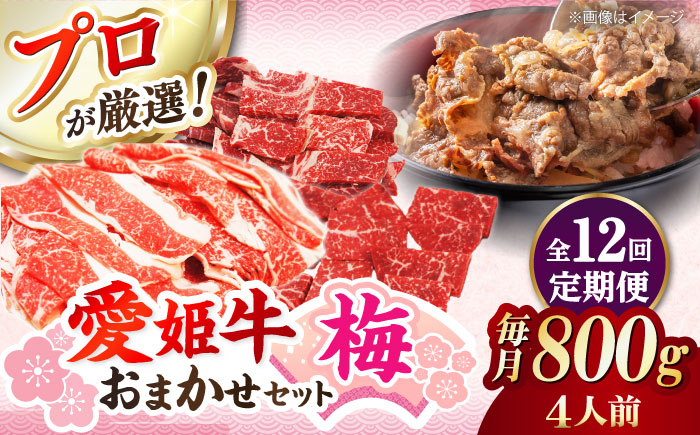 【全12回定期便】「愛姫牛」店主におまかせ旬セット【梅】800g（4人前）愛媛県大洲市/有限会社 木村屋精肉店 焼肉 焼き肉 すきやき すき焼き しゃぶしゃぶ ステーキ 赤身 牛肉 冷凍 冷凍肉 お肉 [AGCC059]