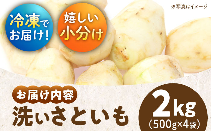 【冷凍】【先行予約】【9月上旬より順次発送】小分けがうれしい！洗い里芋500g×4袋　愛媛県大洲市/沢井青果有限会社 [AGBN039]里芋 和食 朝ごはん 里芋の煮っころがし 里芋の煮物 里芋コロッケ 味噌汁 畑 野菜 新鮮