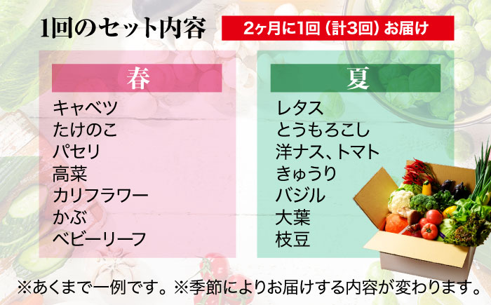 【全3回定期便】【2ヶ月に1回】栽培期間中農薬不使用！大満足 旬のお野菜セット 愛媛県大洲市/有限会社ヒロファミリーフーズ [AGBX042]