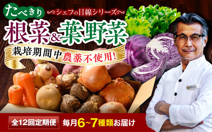 【全12回定期便】 【シェフの目線】　根菜×葉野菜 6から7種　単身・二人暮らし用セット　愛媛県大洲市/有限会社ヒロファミリーフーズ 野菜 果物 やさい 少量セット 食べきり [AGBX054]