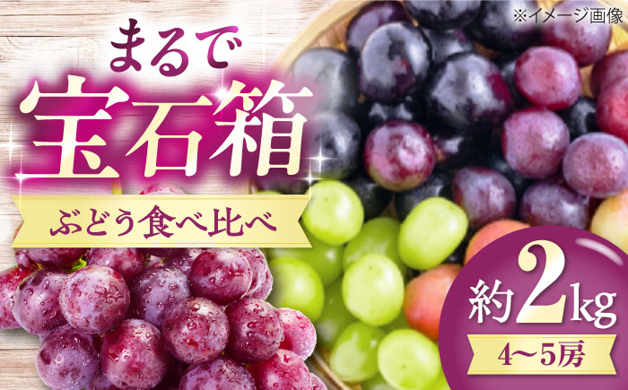【先行予約】【8月中旬から順次発送】 ぶどう 4から5房 約2kg 詰め合わせ セット 愛媛県大洲市/有限会社西山青果　フルーツ 果物 ぶどう ピオーネ [AGAR023]