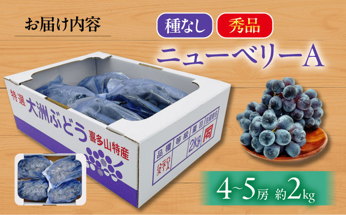 【先行予約】【8月中旬から順次発送】大洲市産　ニューベリーA　4-5房入　2.0kg 愛媛県大洲市/株式会社フジ・アグリフーズ [AGBA024]