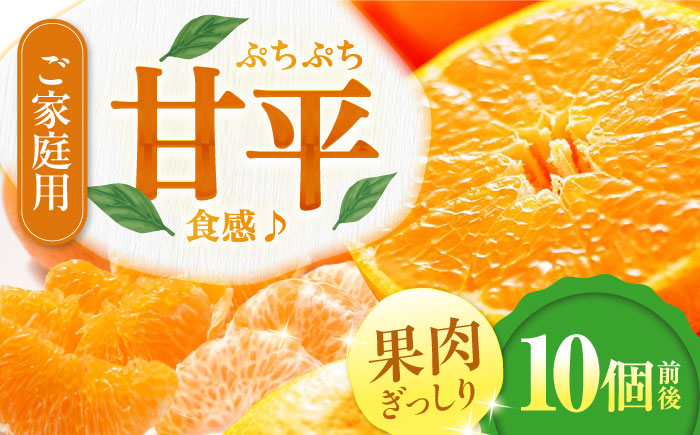 [先行予約][2026年2月中旬から順次発送]甘平 10個前後[ご家庭用] 愛媛県大洲市/西村農園 みかん ミカン えひめ かんぺい 柑橘 [AGDC004]