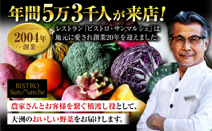 【全12回定期便】 【シェフの目線】　野菜 6から7種　単身・二人暮らし用セット　愛媛県大洲市/有限会社ヒロファミリーフーズ 野菜 やさい 少量セット 食べきり [AGBX046]