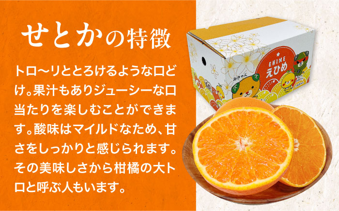 愛媛県産　せとか　2.5kg 愛媛県大洲市/株式会社フジ・アグリフーズ　柑橘 みかん せとか 果物 フルーツ [AGBA019]