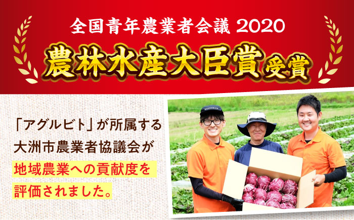 【全6回定期便】生産者の顔が見えるから安心して食べられる！毎回ちがう旬の農産物定期便　愛媛県大洲市/大洲市青年農業者協議会 [AGBL001]サラダ カレー トマト 料理 収穫 ダイエット ヘルシー ブロッコリー きゅうり キャベツ 鍋 健康 とうもろこし 果物 和食 スープ ミニトマト