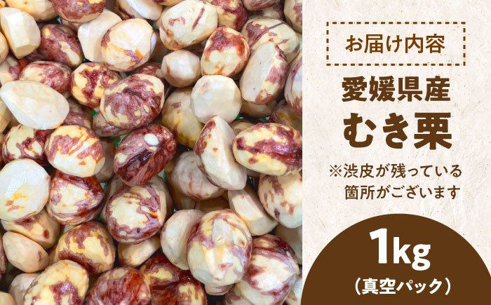 【2026年10月上旬から順次発送】ほくほく甘い ムキ栗 1.0kg（真空パック）　愛媛県大洲市/沢井青果有限会社 [AGBN034]お菓子 おやつ お土産 手作り 焼き菓子 和菓子 駄菓子 可愛い 手作りおやつ スナック お茶菓子 お茶請け 和風スイーツ デザート ティータイム 和食 