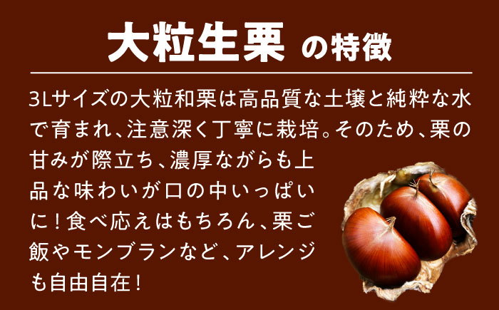 【先行予約】【2026年9月下旬から順次発送】自然な甘みと豊かな香り！愛媛県産高級和栗 大粒生栗 1kg　愛媛県大洲市/あじさい農園 [AGAE009]くり クリ モンブラン マロン 秋の味覚 和菓子 栗ご飯 栗ごはん 栗きんとん ケーキ スイーツ クリ 手作りスイーツ素材 おやつ 材料 