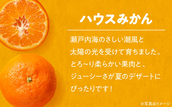 【先行予約】【夏限定】愛媛県産 峯田農園のあま〜い「ハウスみかん」2kg　愛媛県大洲市/峯田農園 [AGBT001]みかん オレンジ フルーツ ミカン 果物 かき氷 みかんジュース 愛媛みかん こたつ みきゃん スムージー デザート おやつ ヨーグルト 調味料 ドレッシング 隠し味 料理 お正月 クリスマス