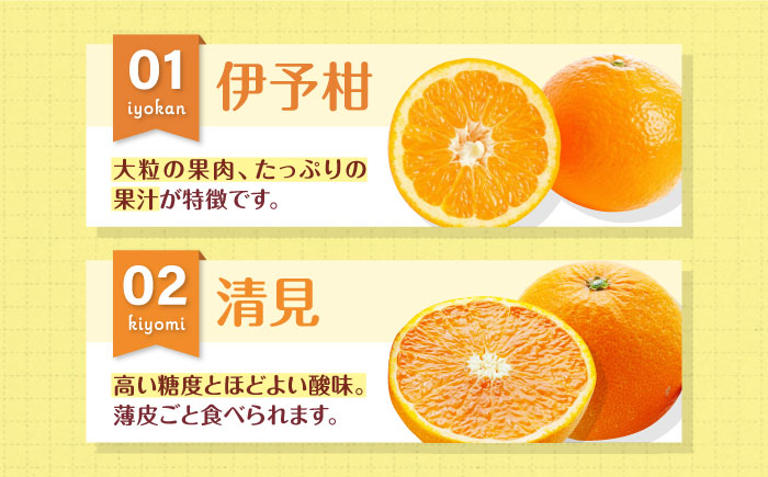 【先行予約】【3月頃発送】柑橘おまかせセット 愛媛県大洲市/沢井青果有限会社 [AGBN053]
