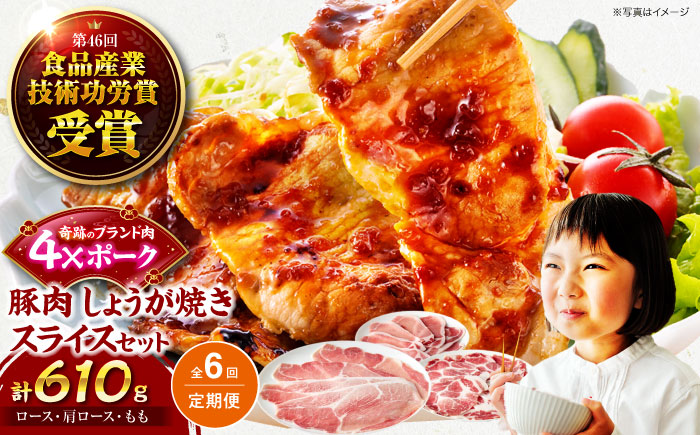 【全6回定期便】【冷凍】【4Xポーク】 豚肉 しょうが焼き用スライスセット 610g（ロース170g、肩ロース190g、もも250g）　豚肉 切り落とし 小分け 肉 ぶたにく 愛媛県大洲市/株式会社SL Creations [AGCY008]