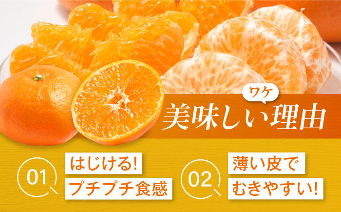 【先行予約】【2026年2月中旬から順次発送】甘平 約2.5kg 10個前後【ご家庭用】  愛媛県大洲市/西村農園 みかん ミカン えひめ かんぺい 柑橘 [AGDC004]