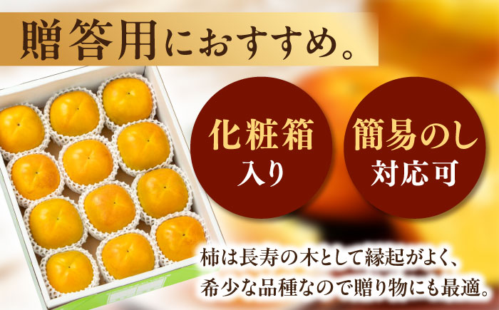 【先行予約】【10月上旬から順次発送】【期間・数量限定】柿の概念を超えたサクサク食感！愛媛県産 太秋柿 2Lサイズ 約3kg化粧箱入（12玉入り）かき カキ 柿 果物 フルーツ 愛媛県大洲市/愛媛たいき農業協同組合[AGAO004]