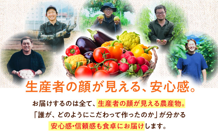 【全6回定期便】生産者の顔が見えるから安心して食べられる！毎回ちがう旬の農産物定期便　愛媛県大洲市/大洲市青年農業者協議会 [AGBL001]サラダ カレー トマト 料理 収穫 ダイエット ヘルシー ブロッコリー きゅうり キャベツ 鍋 健康 とうもろこし 果物 和食 スープ ミニトマト