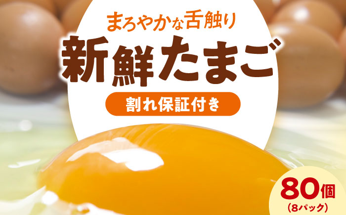 平飼い 海草たまご 8パック（80個入り）割れ保証あり 愛媛県大洲市/和田養鶏場 卵 たまご 鶏卵 卵料理 玉子 [AGDQ003]