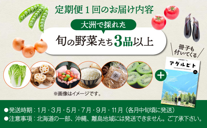 【全6回定期便】生産者の顔が見えるから安心して食べられる！毎回ちがう旬の農産物定期便　愛媛県大洲市/大洲市青年農業者協議会 [AGBL001]サラダ カレー トマト 料理 収穫 ダイエット ヘルシー ブロッコリー きゅうり キャベツ 鍋 健康 とうもろこし 果物 和食 スープ ミニトマト