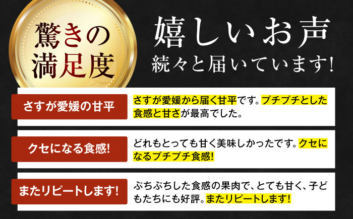 【先行予約】【2026年2月上旬から順次発送】【期間・数量限定】愛媛限定栽培！ 甘平（かんぺい）2L〜4L玉サイズ 約3kg箱入（8玉〜12玉）甘平 みかん 愛媛みかん 柑橘 愛媛県大洲市/愛媛たいき農業協同組合[AGAO010]