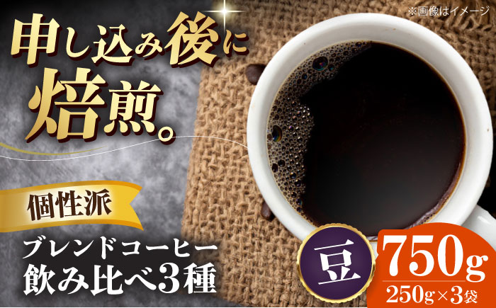 【コーヒー豆】少し個性のあるブレンドコーヒー飲み比べ 3種セット（ブルーマウンテンブレンド・タンザニアブレンド・マンデリンブレンド）各250g 珈琲 コーヒー豆 コーヒー ドリップ ドリップ珈琲 飲料 愛媛県大洲市/株式会社日珈 [AGCU023-2]