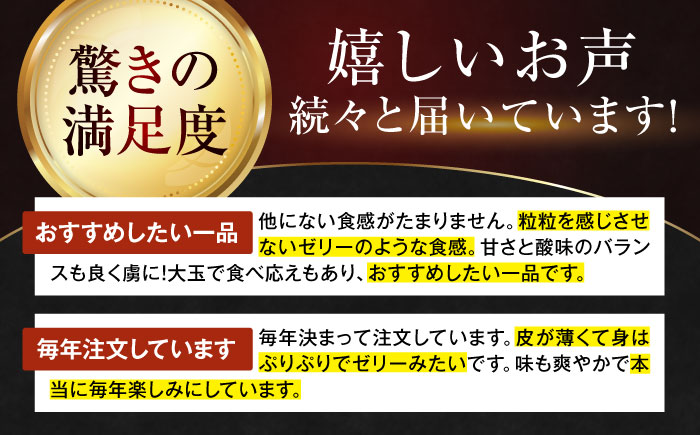 【先行予約】【11月下旬から順次発送】【期間・数量限定】愛媛限定栽培！ 紅まどんな Lサイズ 約3kg（15玉入）化粧箱入 果物 フルーツ みかん ミカン まどんな 愛媛県大洲市/愛媛たいき農業協同組合[AGAO006]