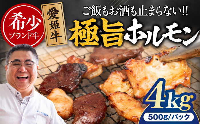 【冷凍】 愛姫牛 肉屋のこだわりお惣菜 タレ漬けミックスホルモン 500g×8パック 4kg 愛媛県大洲市/有限会社 木村屋精肉店 [AGCC071]牛肉 和牛 牛 国産 国産和牛 愛媛県産 大洲市産 人気 おすすめ ランキング 簡単 おいしい お肉 肉 国産肉 焼肉 送料無料 お取り寄せ グルメ ホルモン 冷凍 焼き肉 BBQ バーベキュー ホルモン焼きそば ホルモン炒め