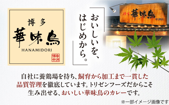 【全3回定期便】博多華味鳥　カレーセット3食入り 愛媛県大洲市/トリゼンフーズ株式会社 カレーレトルト カレー インスタントカレー はなみどり [AGDT018]