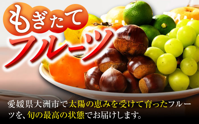 【全12回定期便】　【シェフの目線】 野菜×フルーツセット 6から7種　単身・二人暮らし用セット　愛媛県大洲市/有限会社ヒロファミリーフーズ 野菜 果物 やさい 少量セット 食べきり [AGBX050]