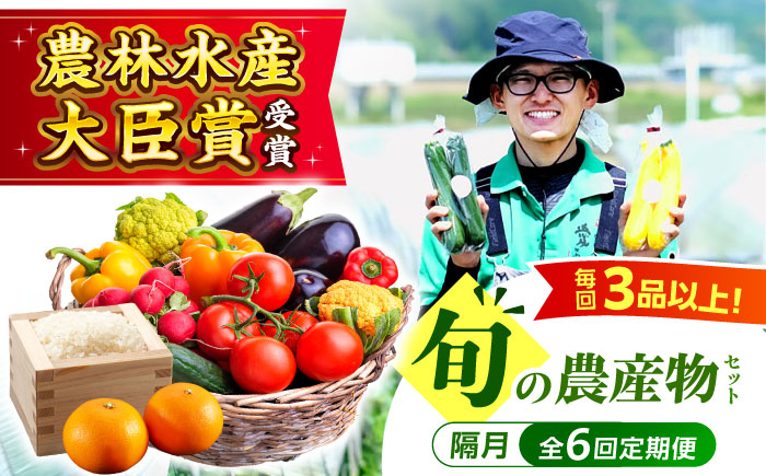 【全6回定期便】生産者の顔が見えるから安心して食べられる！毎回ちがう旬の農産物定期便　愛媛県大洲市/大洲市青年農業者協議会 [AGBL001]サラダ カレー トマト 料理 収穫 ダイエット ヘルシー ブロッコリー きゅうり キャベツ 鍋 健康 とうもろこし 果物 和食 スープ ミニトマト お正月 クリスマス