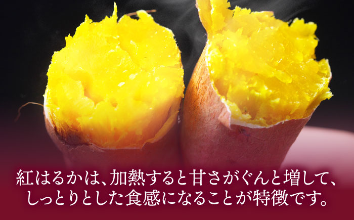 さつまいも（紅はるか）10kg 愛媛県大洲市/たいき産直市愛たい菜 [AGAP021]