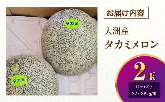 【先行予約】【6月中旬から順次発送】 タカミ メロン Lサイズ 2玉入り（2.2kg〜2.5kg/玉） 愛媛県大洲市/にのみや農園 めろん 貴味 果物 フルーツ くだもの 青肉 高級　 [AGDG003]