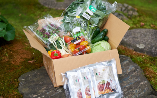 栽培期間中農薬不使用！サラダ野菜とシェフ自慢のミートソース（135g×5袋）セット