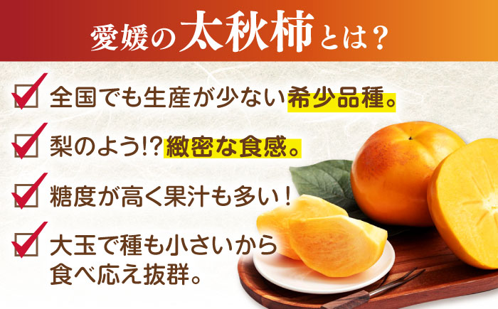 【先行予約】【10月上旬から順次発送】【期間・数量限定】柿の概念を超えたサクサク食感！愛媛県産 太秋柿 2Lサイズ 約3kg化粧箱入（12玉入り）かき カキ 柿 果物 フルーツ 愛媛県大洲市/愛媛たいき農業協同組合[AGAO004]