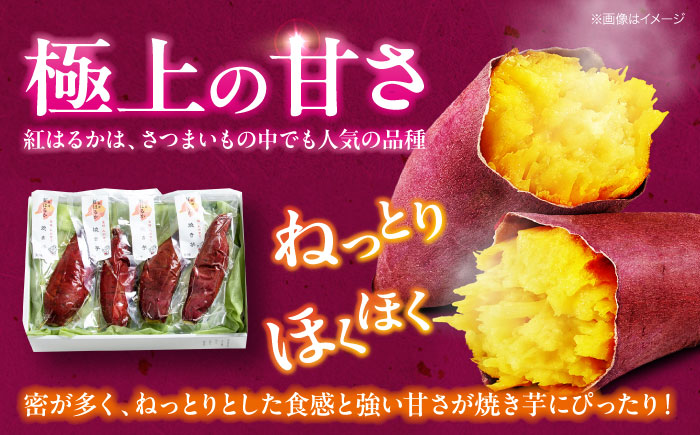 愛媛大洲育ち 熟成紅はるか焼き芋 1kg（4から6本入り） 冷やし焼き芋 さつまいも サツマイモ やき芋 冷蔵 小分け 個包装 愛媛県大洲市/(有)玉井民友商店 [AGBY007] お正月 クリスマス