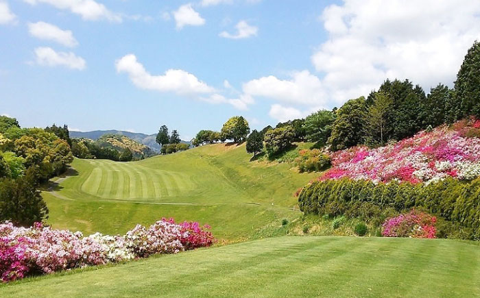 大洲ゴルフ倶楽部 ゴルフプレー利用補助券 3000円券×1枚 愛媛県大洲市/大洲観光株式会社 | ゴルフ場 プレー プレー券 旅行 体験 [AGDI002]