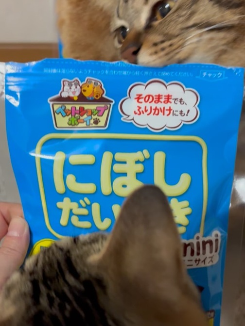 ペットフード マルトモ 減塩にぼしだいすきミニ 40g×30個セット おやつ にぼし 減塩 犬 猫 国産 国内加工 保存料 着色料 不使用 伊予市｜D87