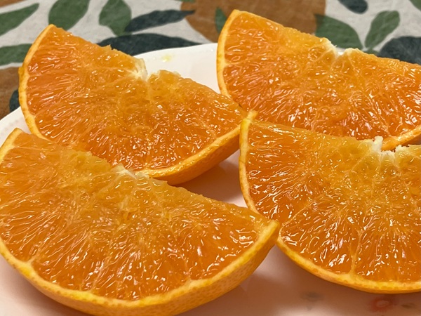 【2027年先行予約】みかん 愛媛県 せとか 3kg 優品 12～15個 レッスルファーム 【2027年1月中旬以降発送】 数量限定 おすすめ 美味しい おいしい グルメ フルーツ くだもの 愛媛県産 人気 柑橘 伊予市｜B258