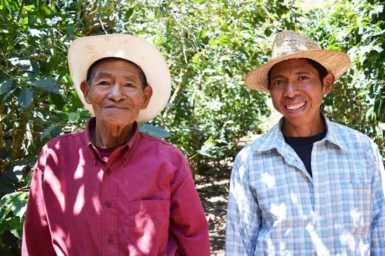 ã³ãŒããŒ ç² 200g çç² é£²æ ãã³ãžã¥ã©ã¹ç£ æµ
ç
ã çç
ç¡èŸ²è¬ ãã£ãªãã·ãªããã®ã³ãŒã㌠ã«ãã©ããã£ã³ãŒããŒçç
æ éŠã ã³ã¯ ãã¬ãŒã³ã ã®ãã æåª äŒäºåžïœB431-a