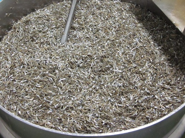 無添加 アーモンドフィッシュ 給食 25パック×3袋【栄養機能食品】 カルシウム 小魚 おやつ おつまみ おすすめ 小分け 瀬戸内海産 かたくちいわし 美味しい おいしい 阿川食品株式会社 | B563
