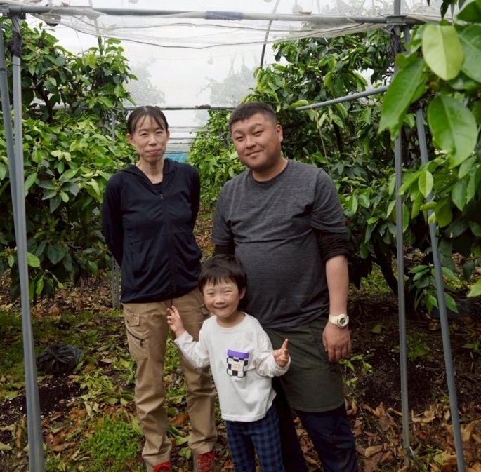 みかん 訳あり 愛果28号 紅まどんなと同一品種 3kg サイズミックス ご家庭用 【12月から順次発送予定】 愛媛 人気 数量限定 先行予約 柑橘 伊予侍ファーム 伊予市｜B457