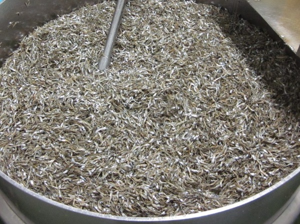 無添加 アーモンドフィッシュ 給食 250g×1袋【栄養機能食品】人気 カルシウム 小魚 おやつ おつまみ おすすめ 大容量 瀬戸内海産 かたくちいわし 美味しい おいしい 阿川食品株式会社 | A112